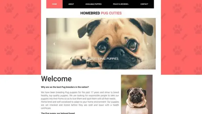 Screenshot of