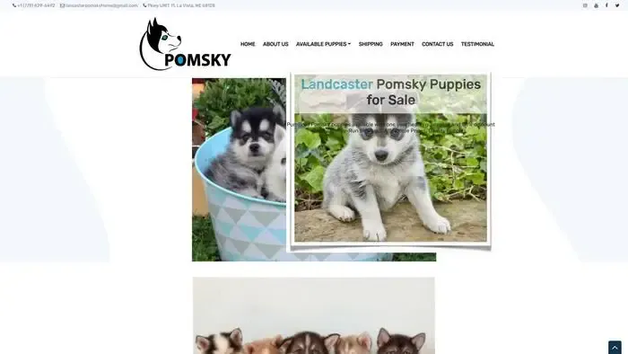 Screenshot of