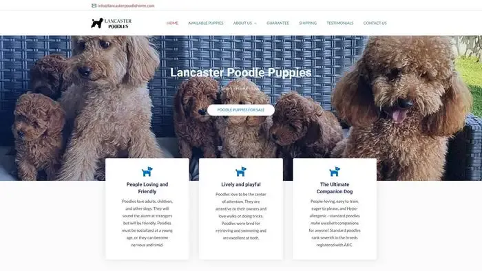 Screenshot of