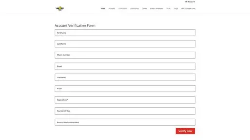 Screenshot of