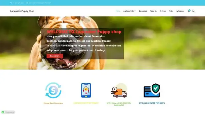 Screenshot of