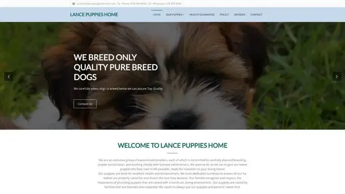 Screenshot of