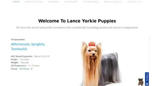 Screenshot of