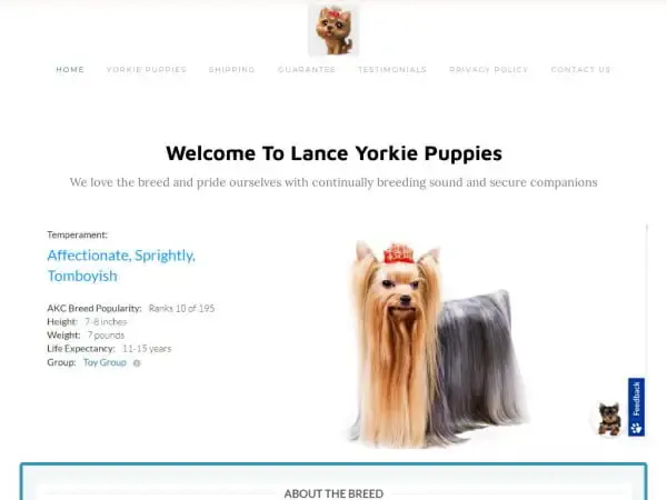 Screenshot of