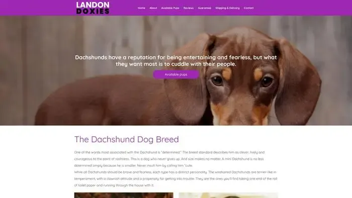Screenshot of