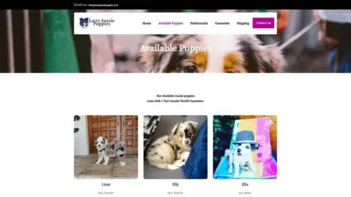 Screenshot of
