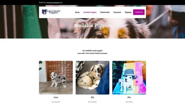 Screenshot of
