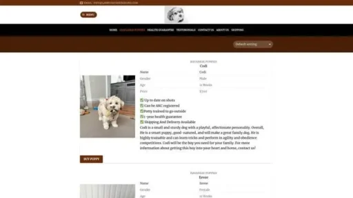 Screenshot of