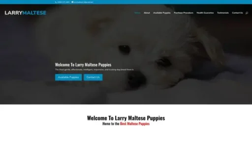 Screenshot of