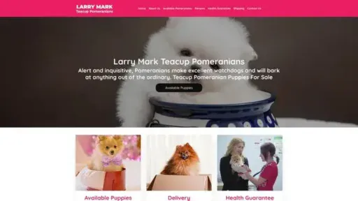 Screenshot of