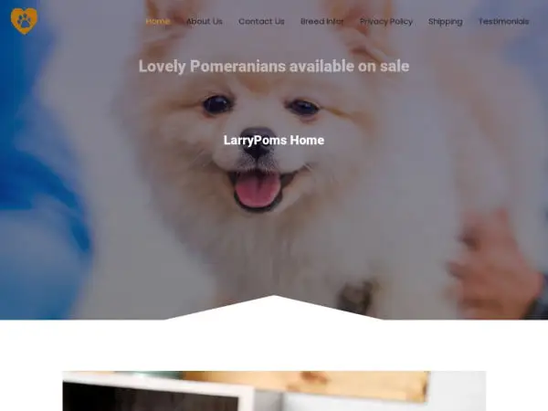 Screenshot of