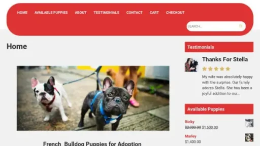 Screenshot of