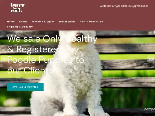 Screenshot of