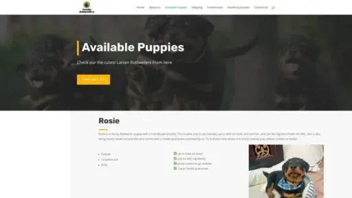Screenshot of