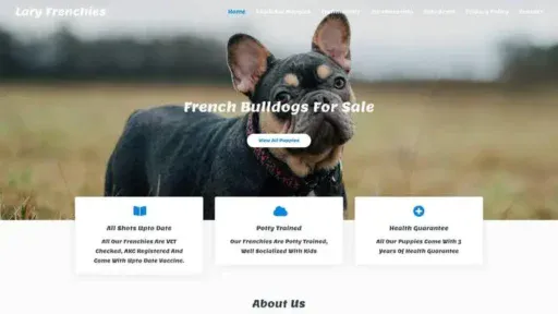 Screenshot of