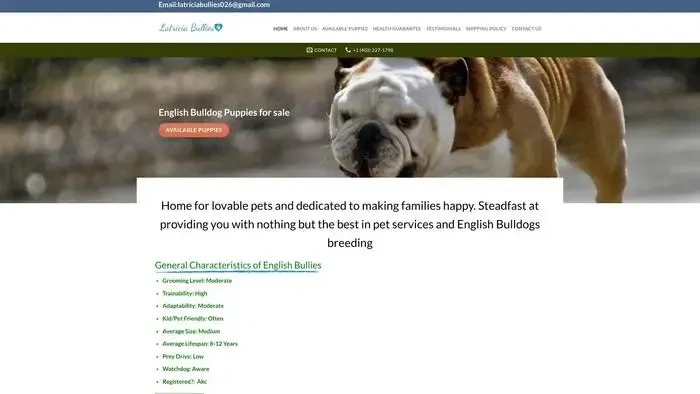 Screenshot of