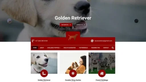 Screenshot of