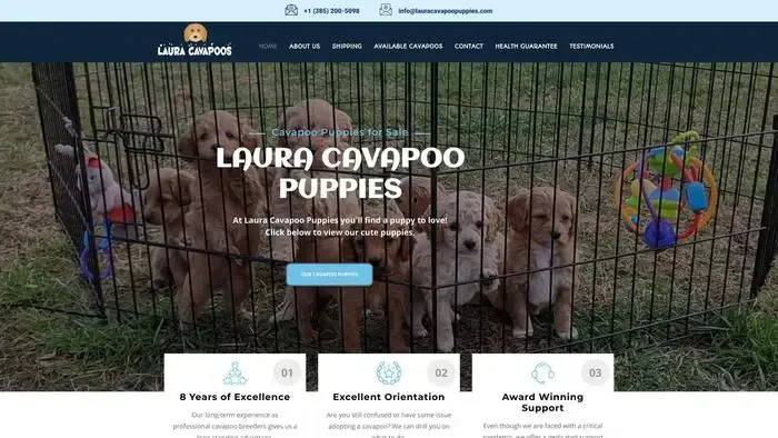 Screenshot of
