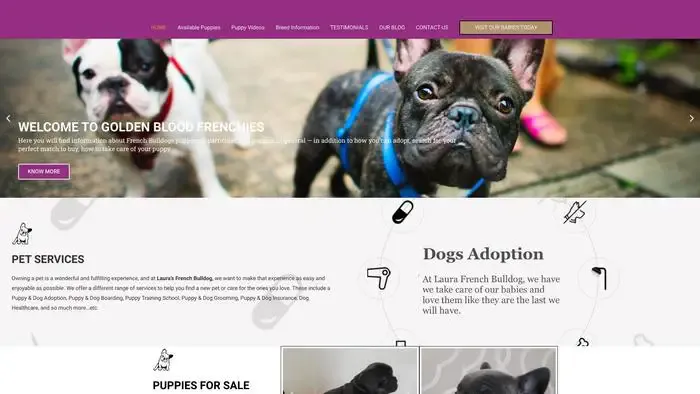 Screenshot of