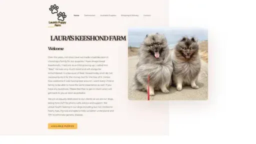 Screenshot of