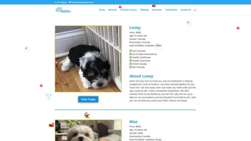 Screenshot of