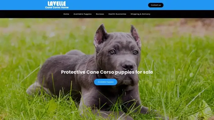 Screenshot of