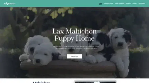 Screenshot of