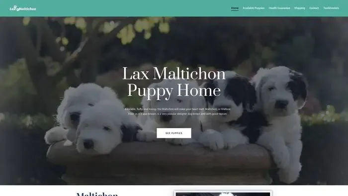 Screenshot of