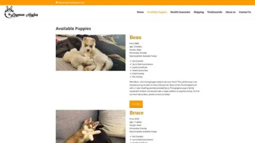 Screenshot of