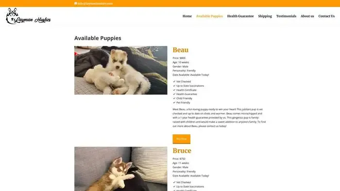 Screenshot of
