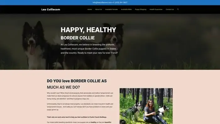 Screenshot of