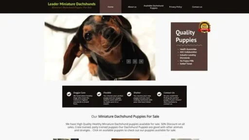 Screenshot of