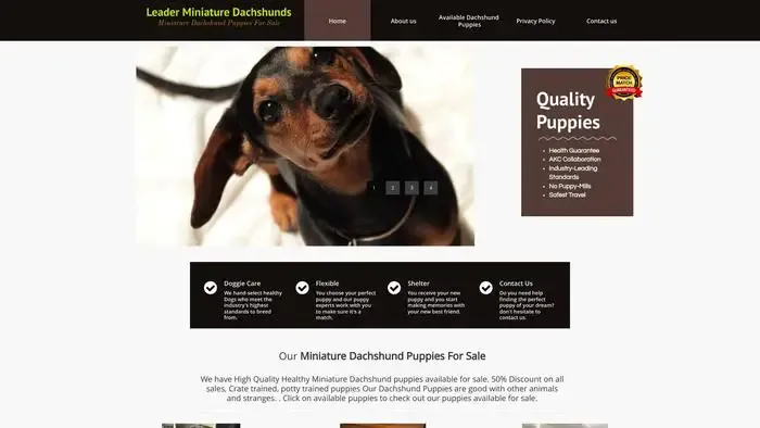 Screenshot of