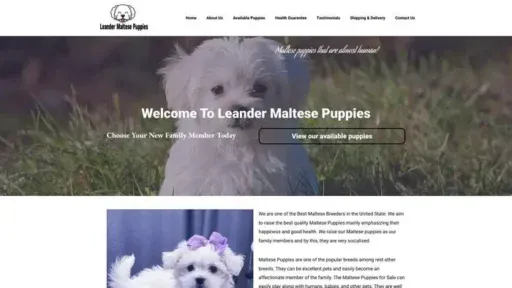 Screenshot of
