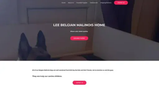 Screenshot of