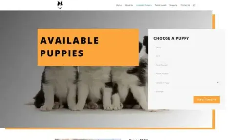 Screenshot of
