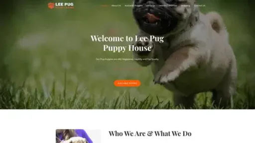 Screenshot of