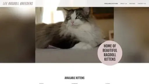 Screenshot of