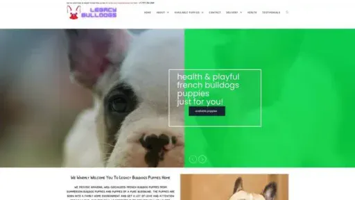 Screenshot of
