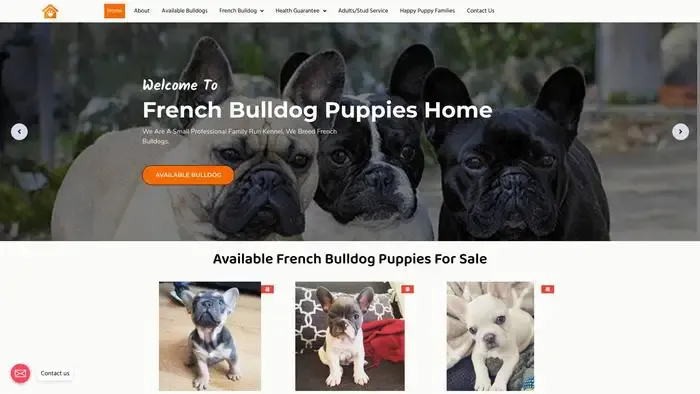 Screenshot of