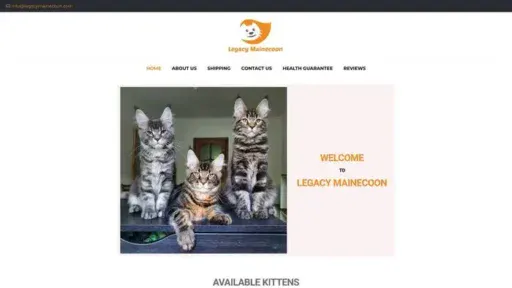 Screenshot of