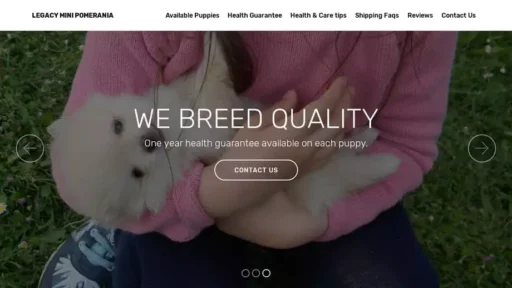 Screenshot of|