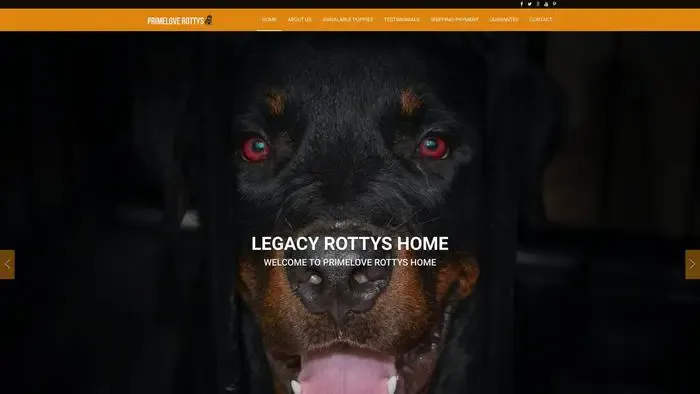 Screenshot of