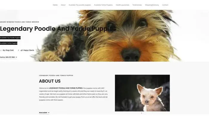 Screenshot of