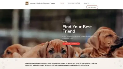 Screenshot of