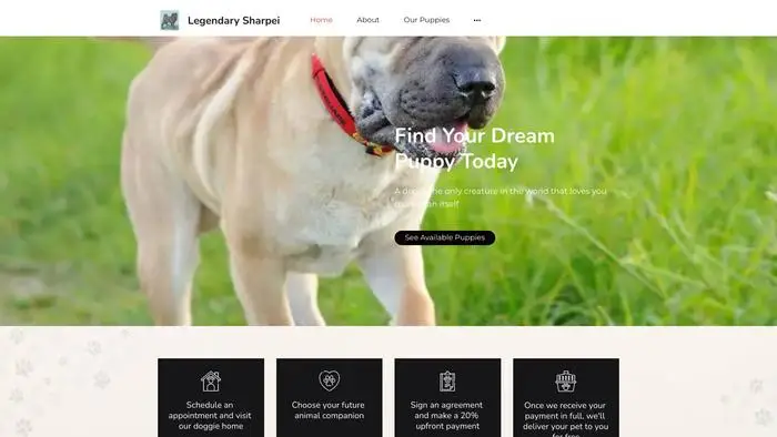 Screenshot of