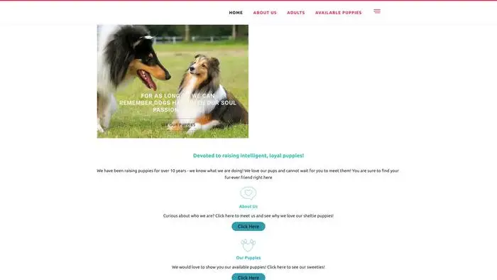 Screenshot of