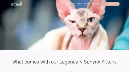 Screenshot of|