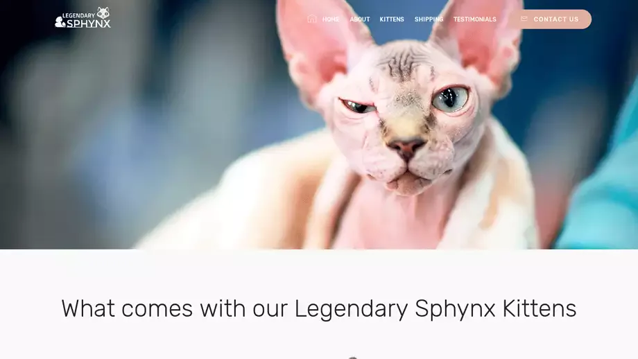 Screenshot of|