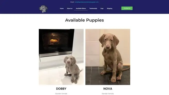 Screenshot of